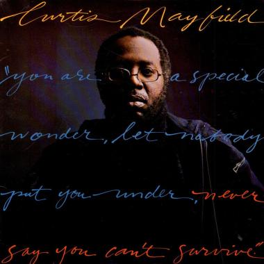 Curtis Mayfield -  Never Say You Can't Survive